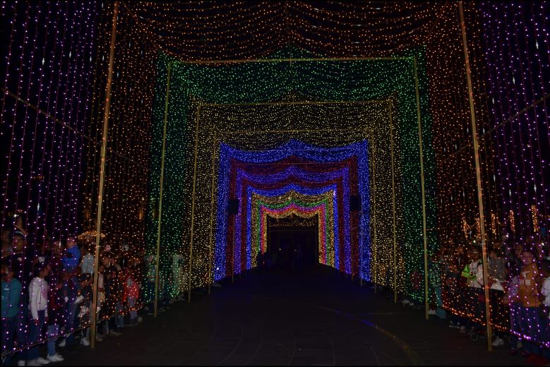 Encienden las luces navideñas en el centro histórico