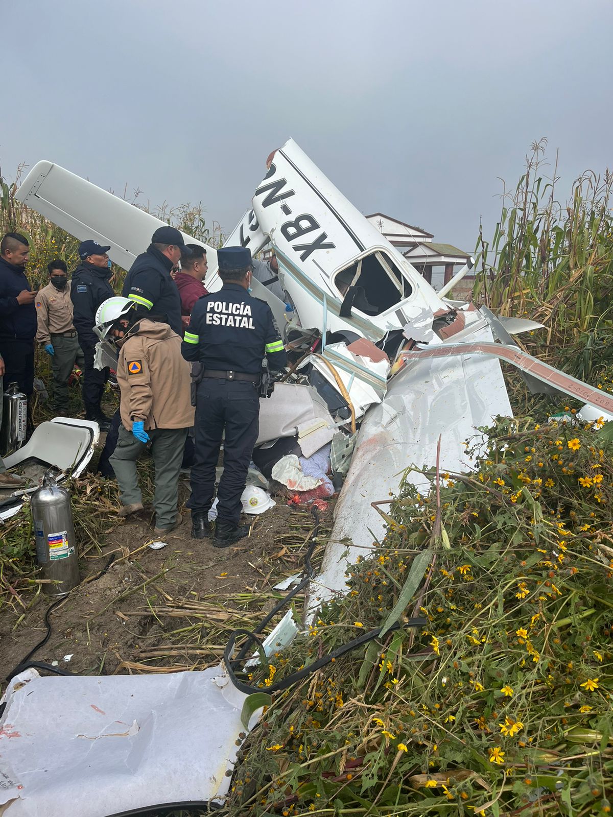 Se desploma avioneta que despegó de Aguascalientes; mueren tres personas