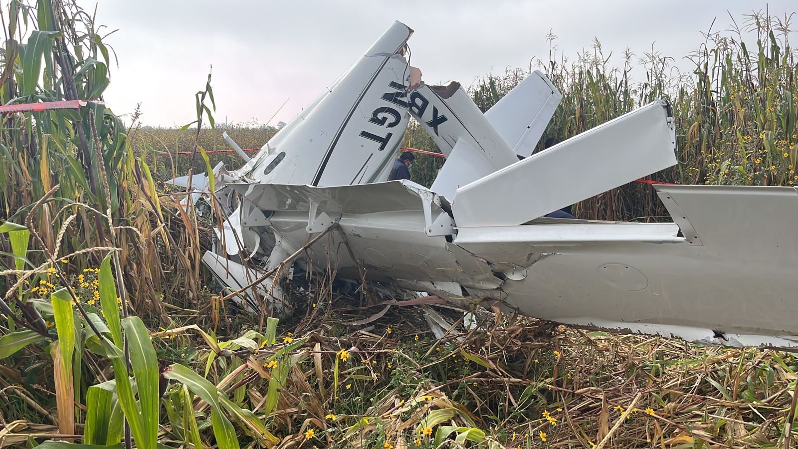 Se desploma avioneta que despegó de Aguascalientes; mueren tres personas