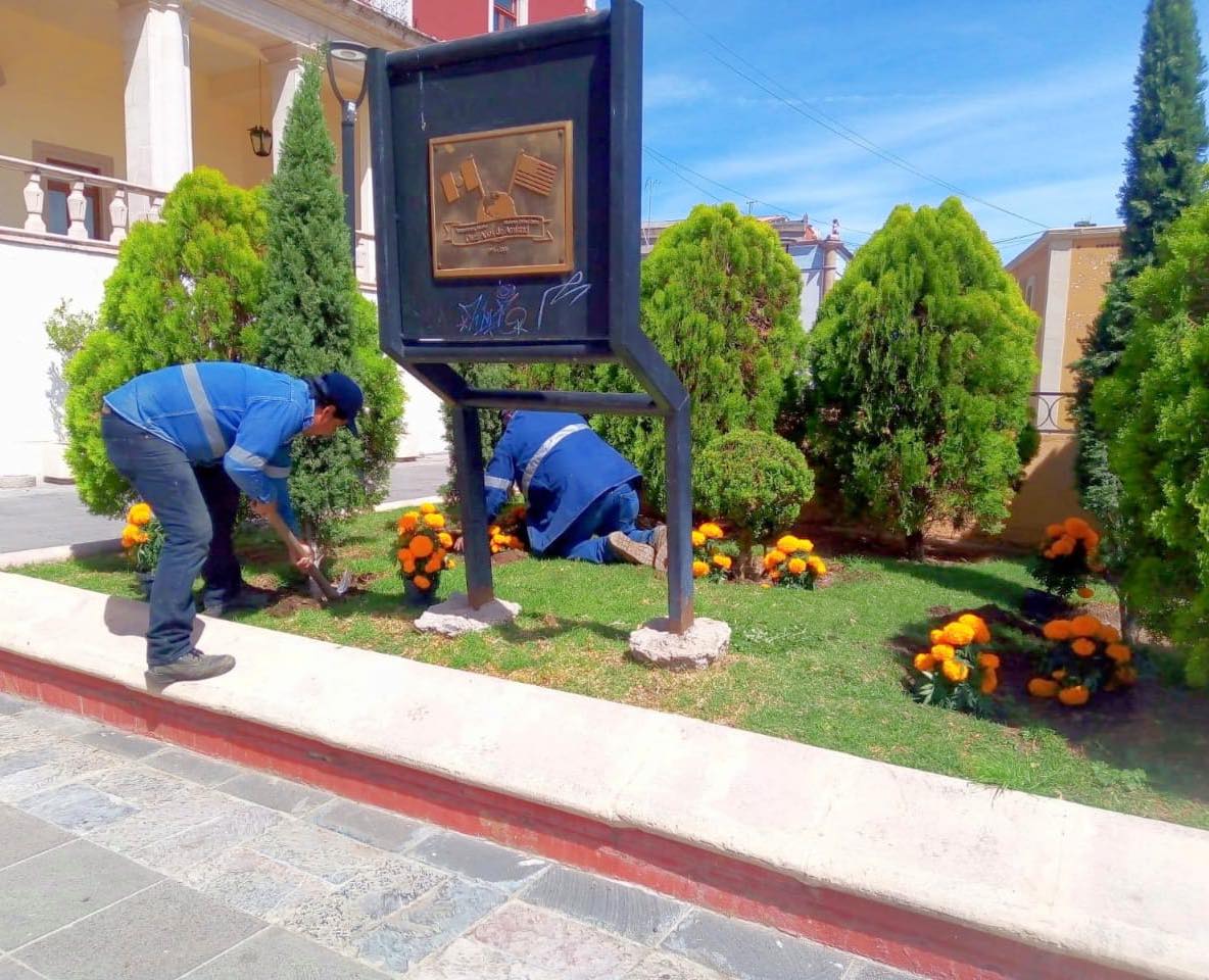 Colocan más de 2,500 plantas de cempasúchil en la ciudad 