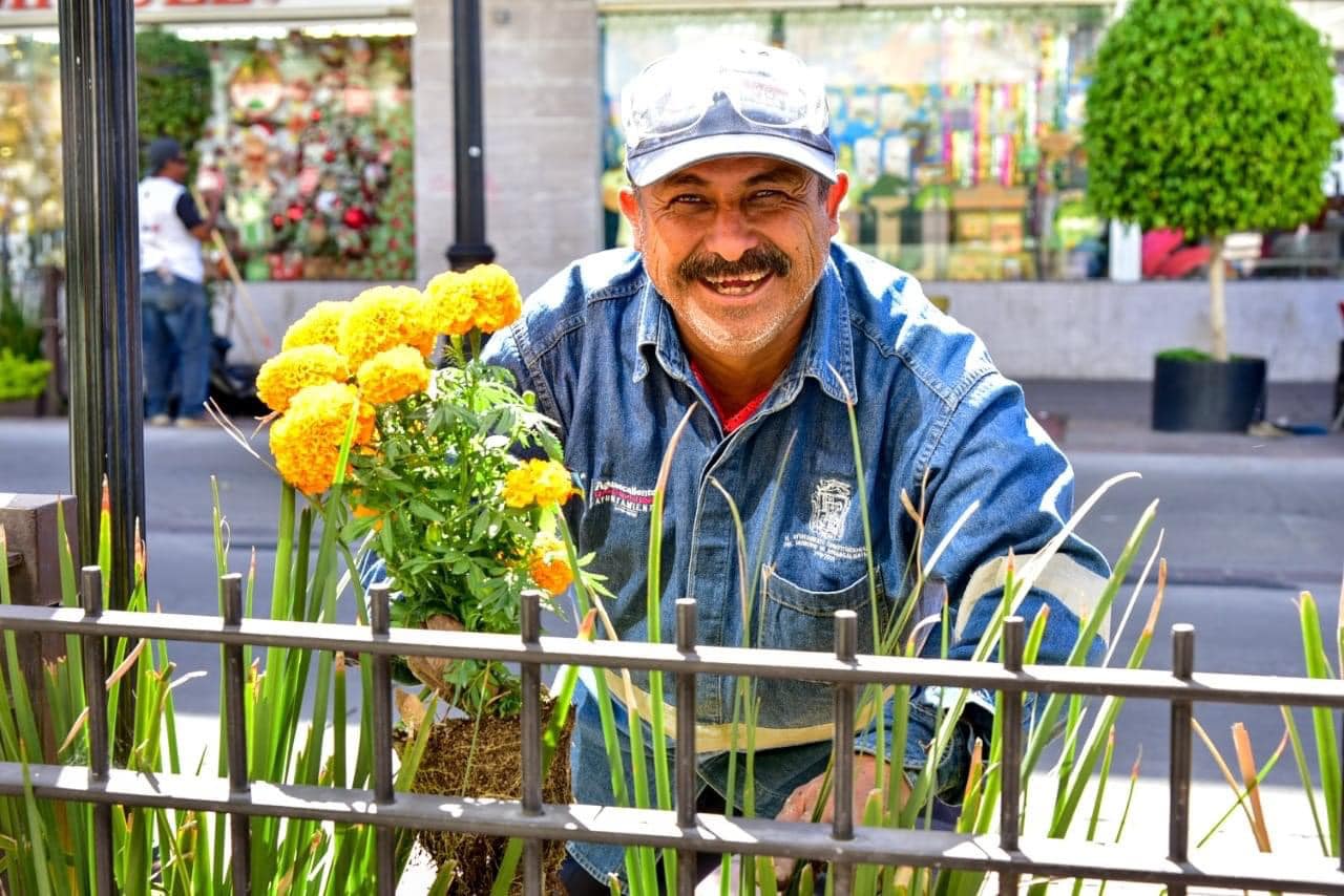 Colocan más de 2,500 plantas de cempasúchil en la ciudad 