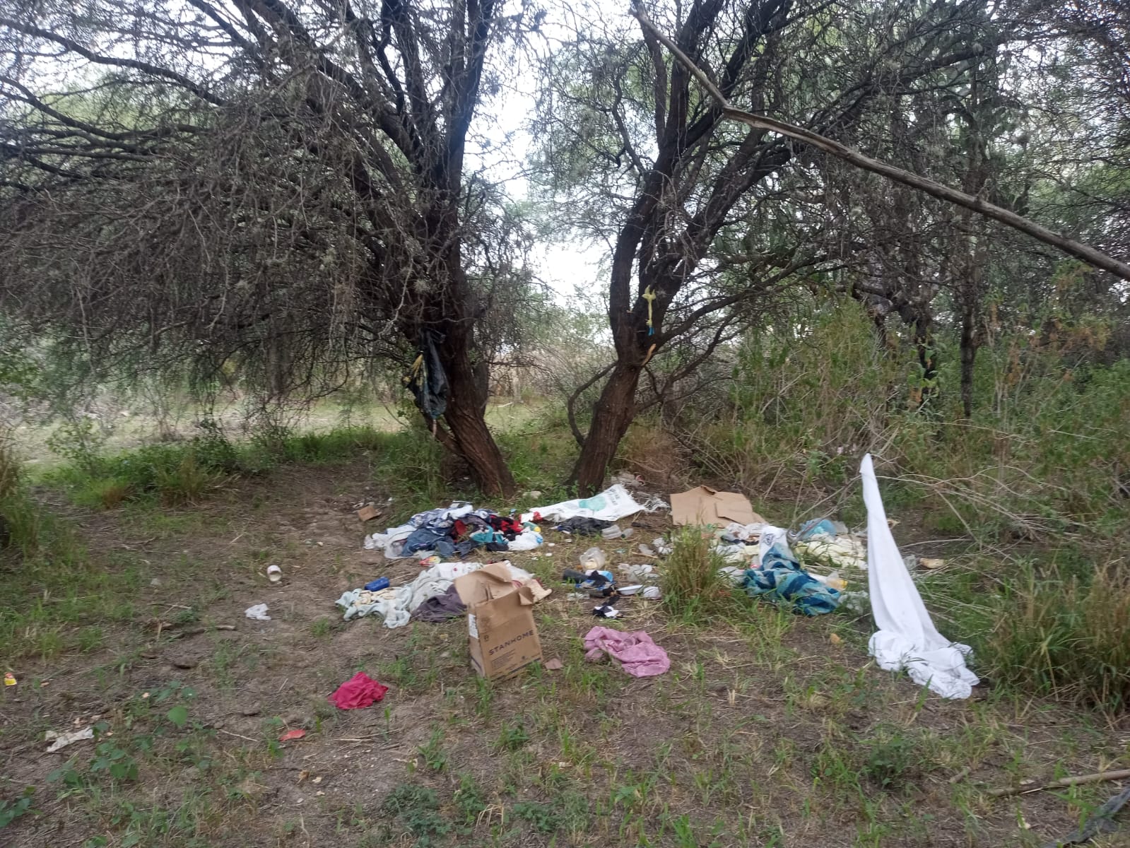 Foráneos huyen al Bosque de Cobos por violencia en sus estados