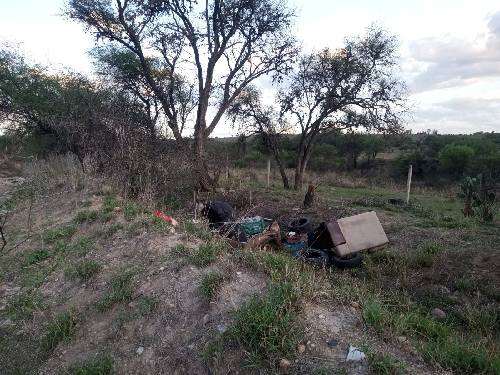 Foráneos huyen al Bosque de Cobos por violencia en sus estados