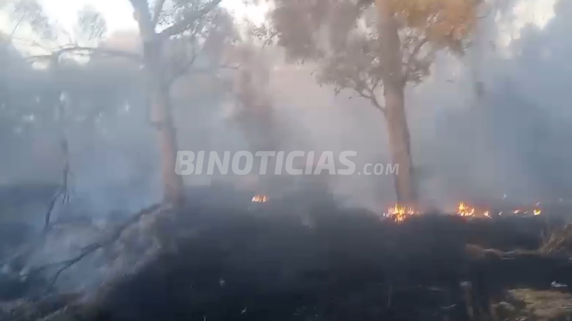 Imagen: Asociación de Guardabosques de Cobos / Miguel Vázquez