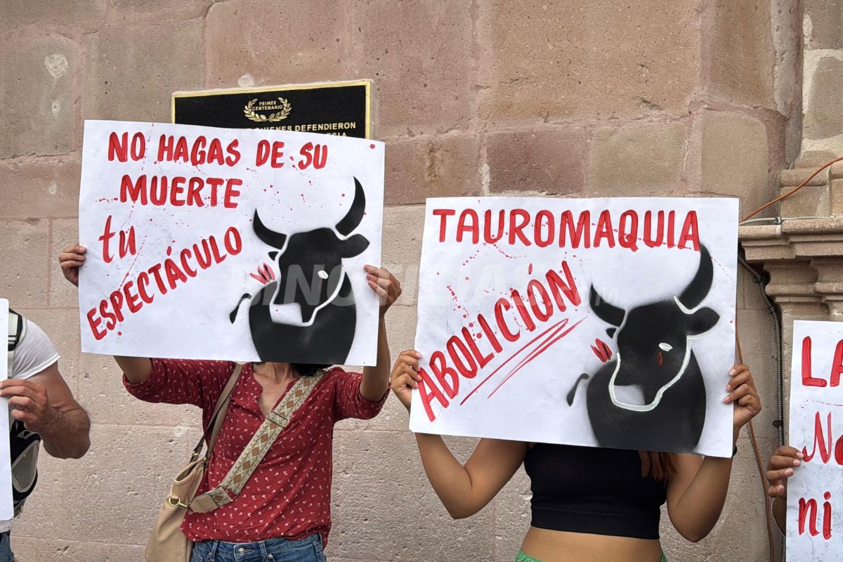 Llevaron cartes, pinturas y pancartas.