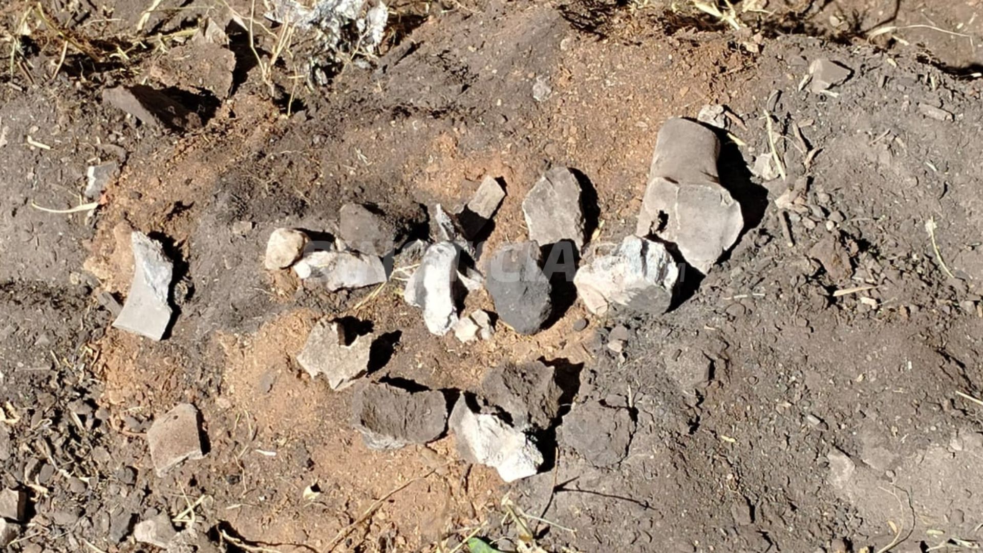 El colectivo señala que hay más zonas por indagar en Rincón de Romos.