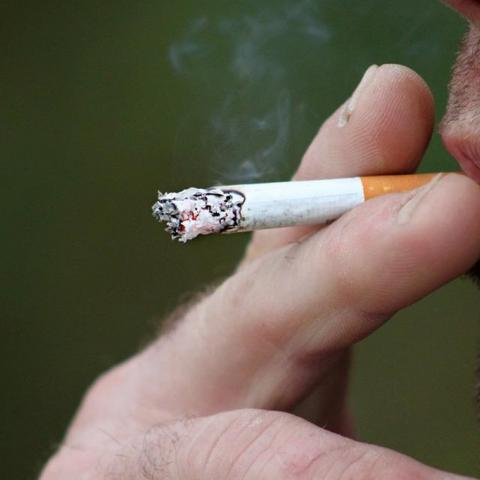 La OMS reporta 8 millones de muertes al año por causa del tabaco