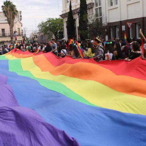 Aunque se han tenido avances, la deuda con la comunidad LGBT+ continúa