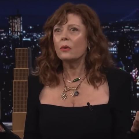 Susan Sarandon dejó claro que es bisexual