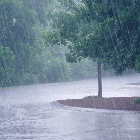 Tormenta tropical
