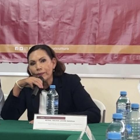 Silvia Licón Dávila