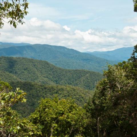 Nueva Guinea