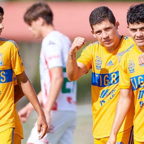 Fuerzas básicas de Tigres vencen a Necaxa