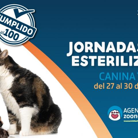 ISSEA efectúa última jornada de esterilización de la presente administración