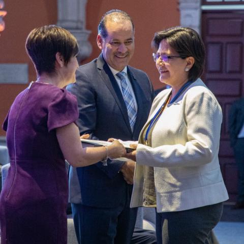 medalla al mérito ciudadano