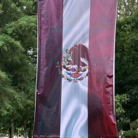 Gobierno de Nayarit cambia los colores de la bandera de México por los de Morena