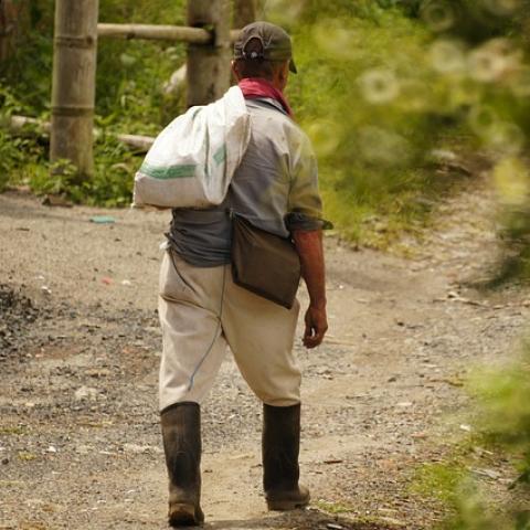 “La mitad de la población rural se encuentra en pobreza”: INEGI arranca el Censo Agropecuario 2022 