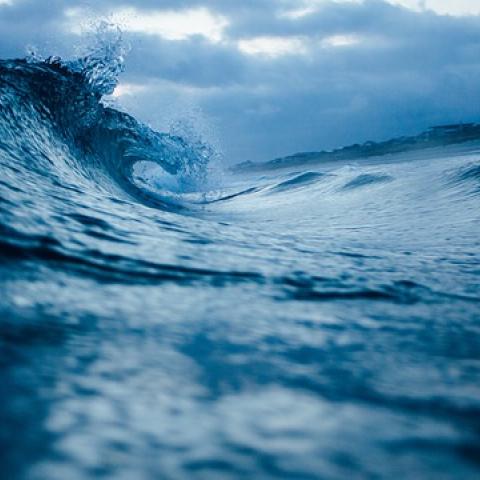 Sí se registró tsunami en México, confirma el Servicio Mareográfico Nacional