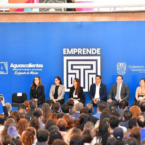 Programa Emprende T