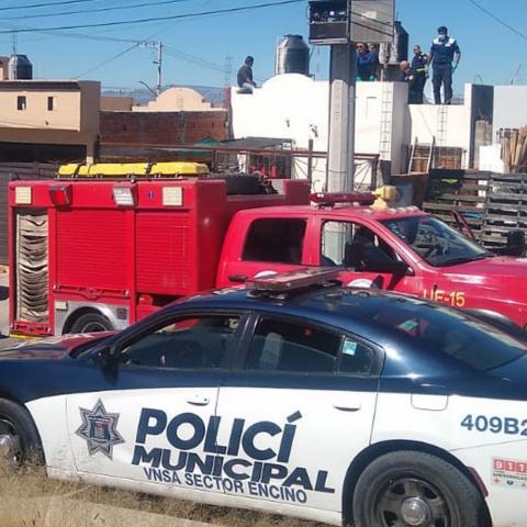 Bomberos Municipales tuvieron que intervenir para rescatarlo de la azotea y  entregarlo a los paramédicos