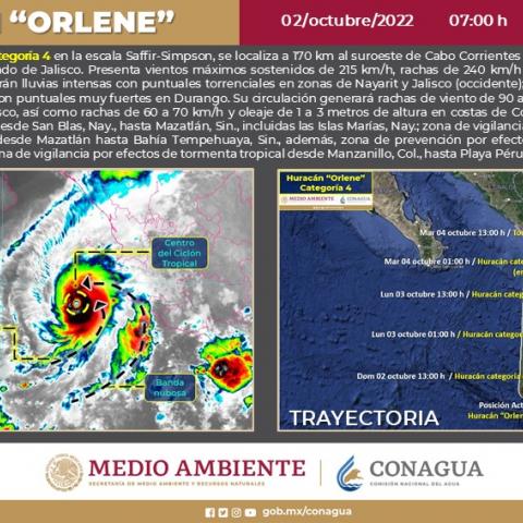 Orlene 