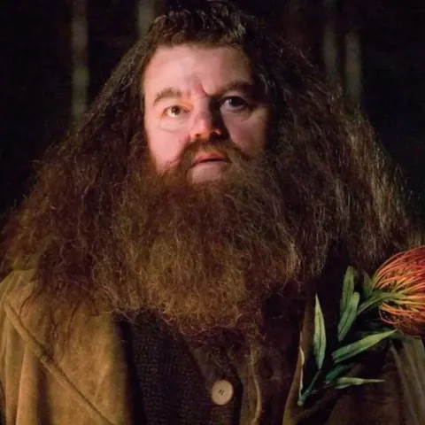 hagrid