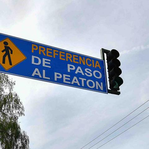 Paso peatonal