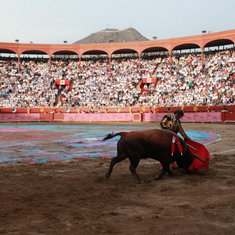 Plaza de toros de Acho