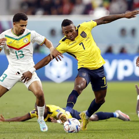 Senegal vs Ecuador