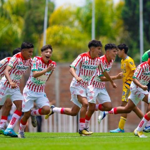 Necaxa visorias