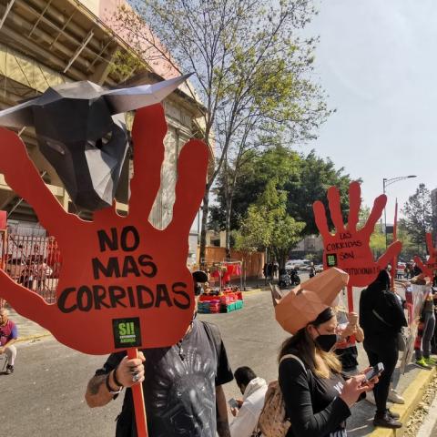 Manifestación en la Plaza México 