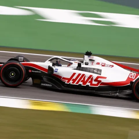 Magnussen Brasil