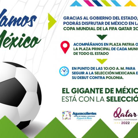 Mundial Aguascalientes