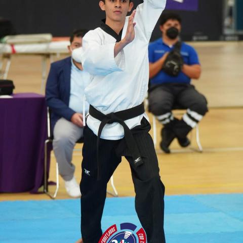 Taekwondo Aguascalientes