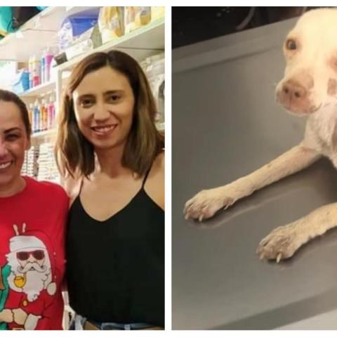 Consuelo Duval acudió a Peek Estética Canina en Aguascalientes