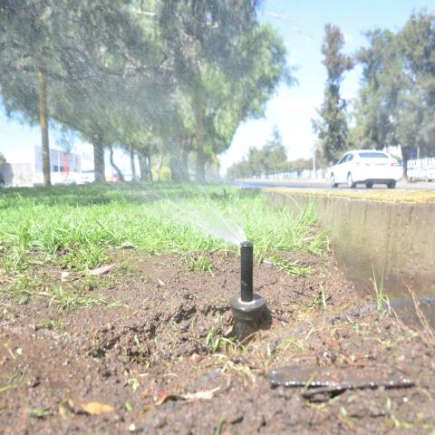 Expanden Líneas Moradas al oriente de la ciudad