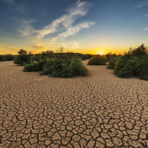 México se reseca más que el resto del planeta