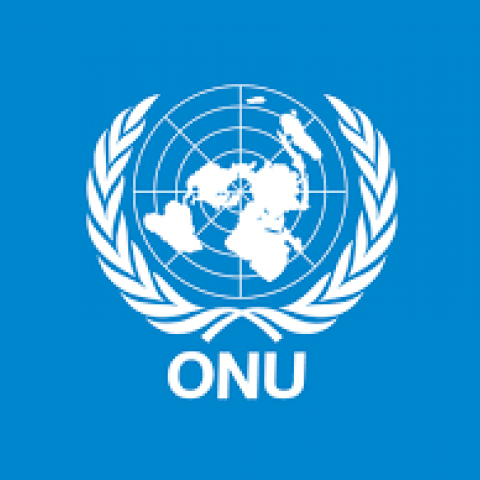 ONU 