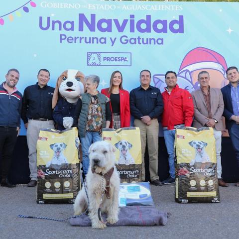 También las mascotas tuvieron una “Navidad Perruna”