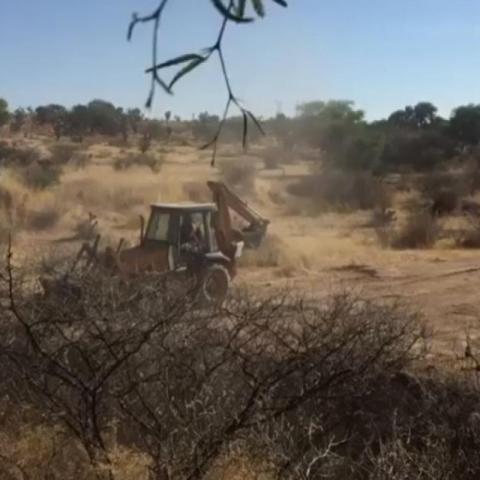 Instalarán Torre de Vigilancia en Bosque de Cobos