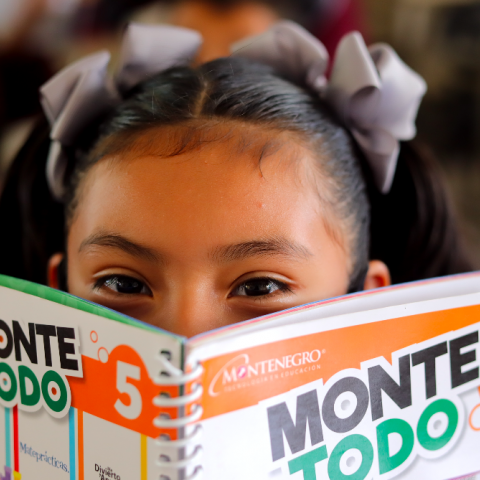 IEA identifica a 50 mil niños con rezago educativo en primarias y secundarias