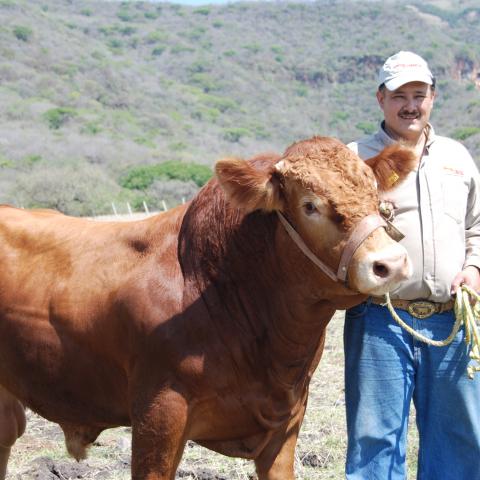 Ganaderos Nuevo León