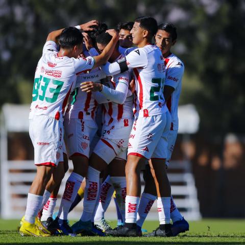 Necaxa Fuerzas Básicas