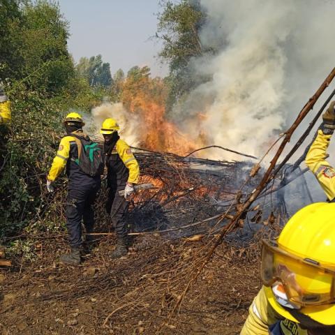 Los incendios de Chile ya en “fase de contención”