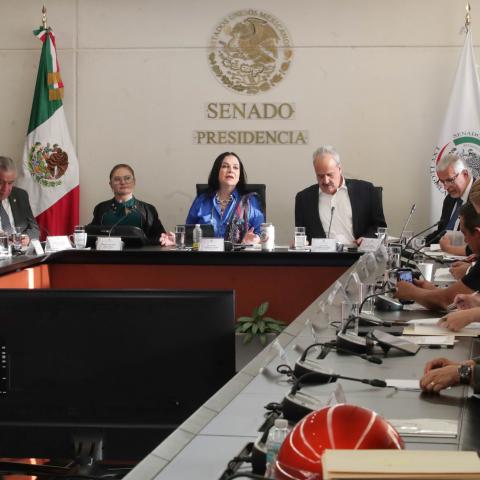 Avanza Plan B en comisiones del Senado