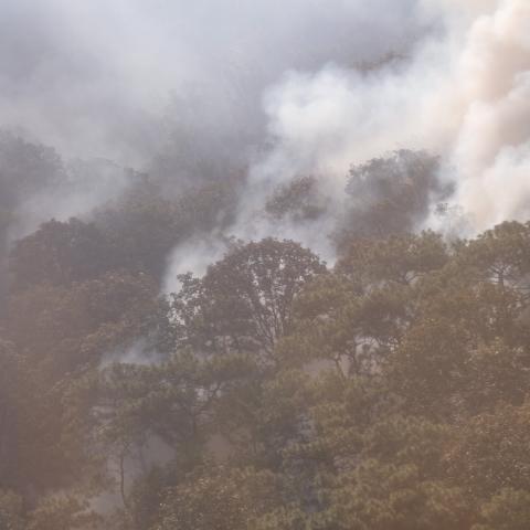 Declaran Emergencia Atmosférica en Zona Metropolitana de Guadalajara 