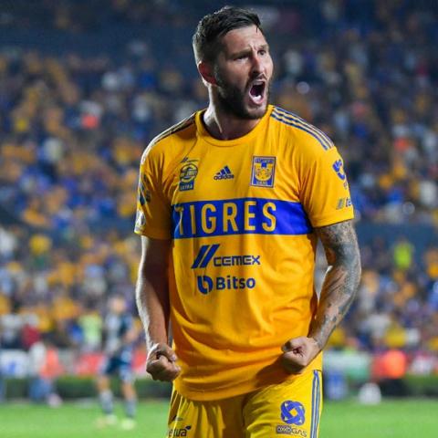 Tigres lesión