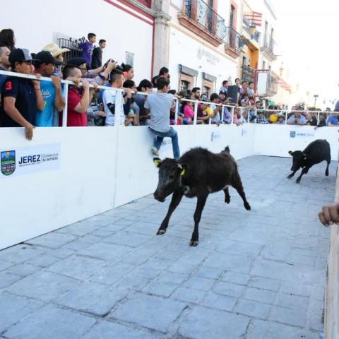 Juez ordena suspender la Jerezada