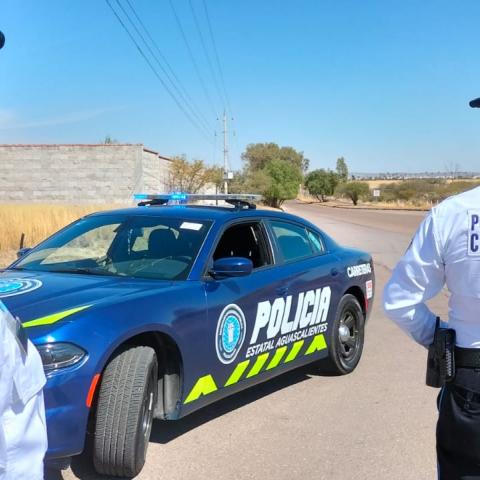 Policía Estatal de Carreteras 