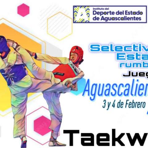 Selectivo Taekwondo Aguascalientes